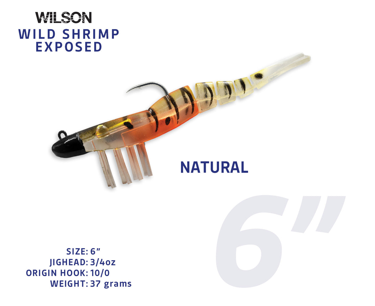 Wild Shrimp Exposed