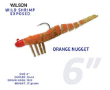 Wild Shrimp Exposed