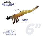 Wild Shrimp Exposed