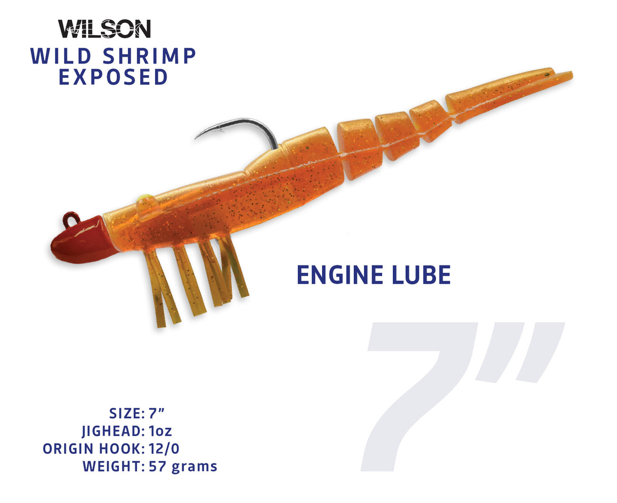 Wild Shrimp Exposed