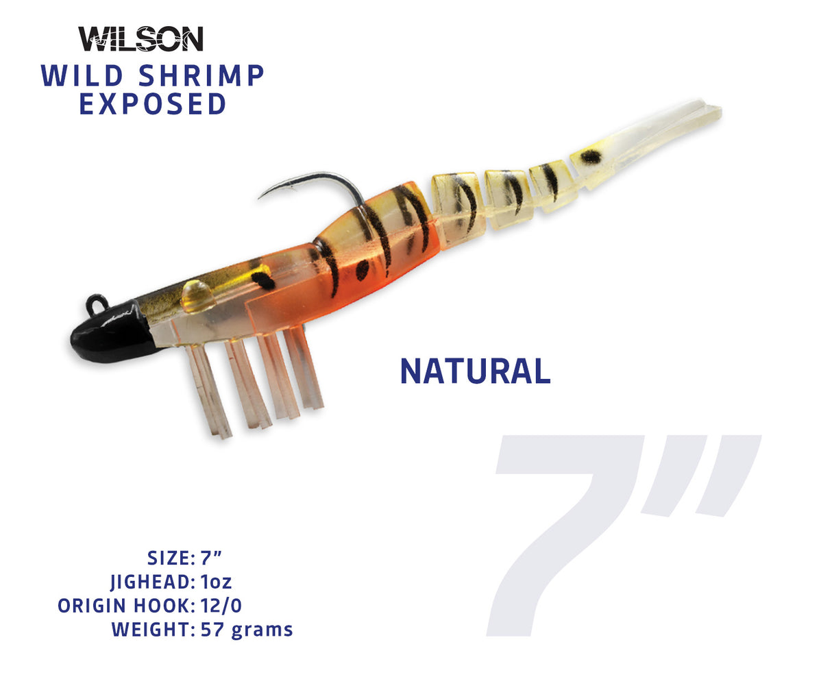 Wild Shrimp Exposed