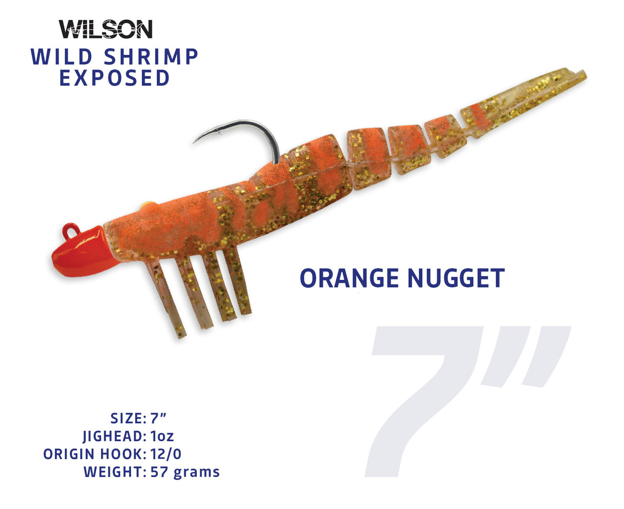 Wild Shrimp Exposed
