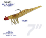Wild Shrimp Exposed