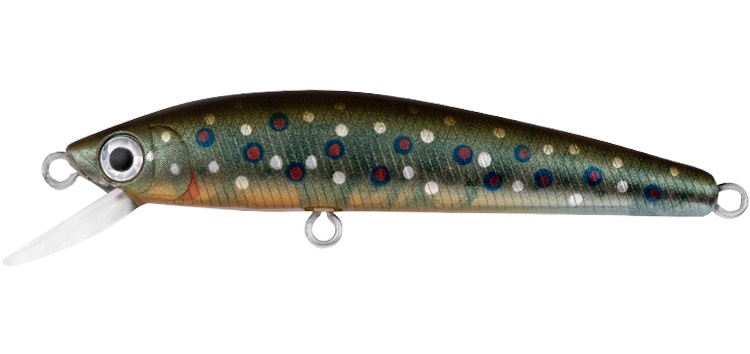 Brook Trout / 60mm