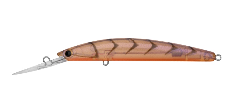 BROWN SUJI PRAWN / 60mm