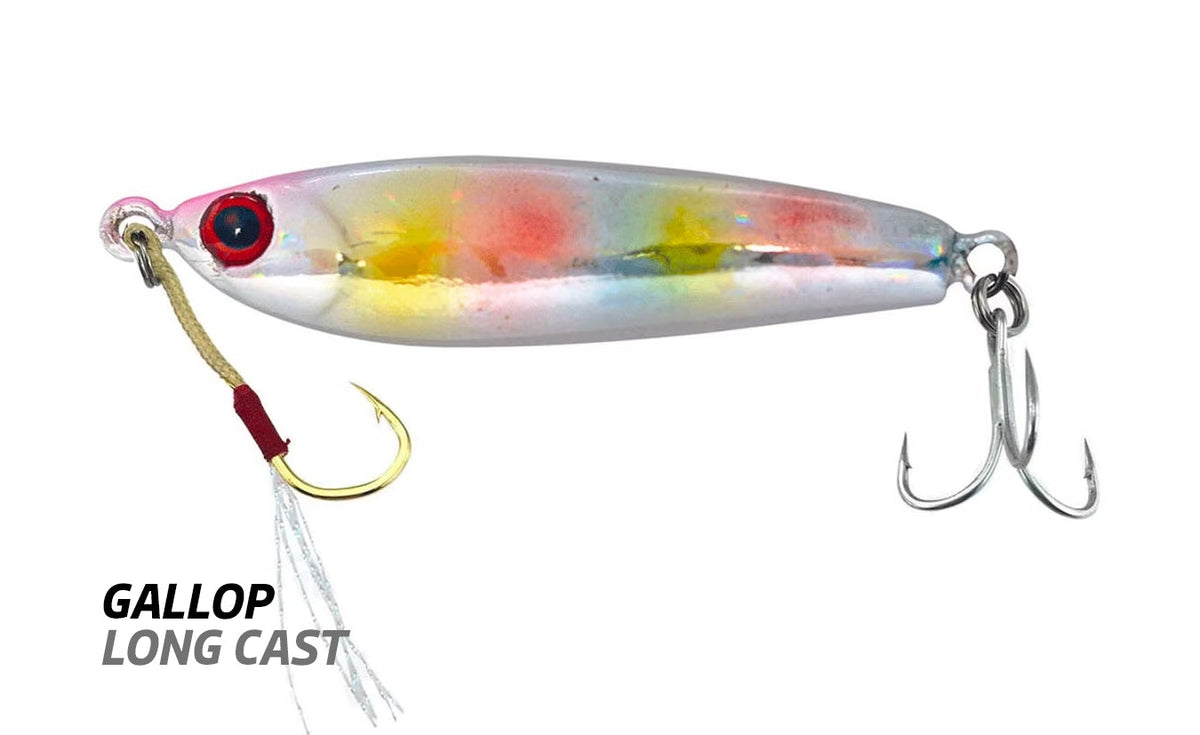 Jackson Métal Jig Gallop Assist Long Cast 10 Grammes WRD (3490 Jackson Métal Jig Gallop Assist Long Cast 10 Grammes WRD (3490