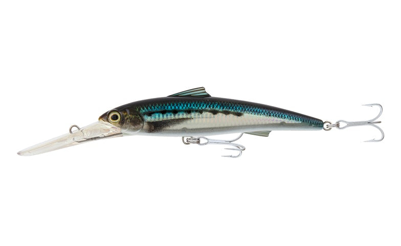 Pilchard / 180mm