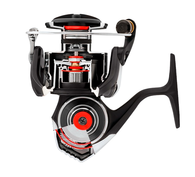 Daiwa 20 BG MQ Spin Fishing Reels