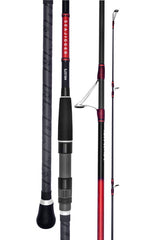 Daiwa 19 Seajigger Spin Fishing Rods