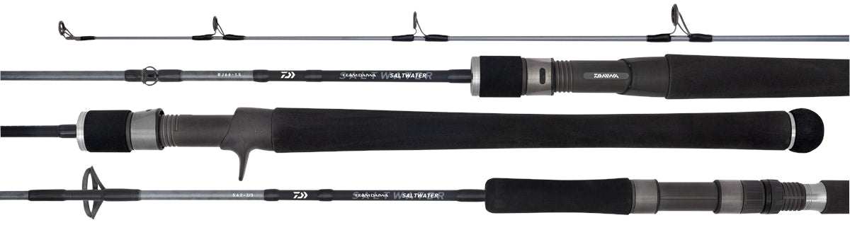 Daiwa 20 TD Saltwater Spin Fishing Rods