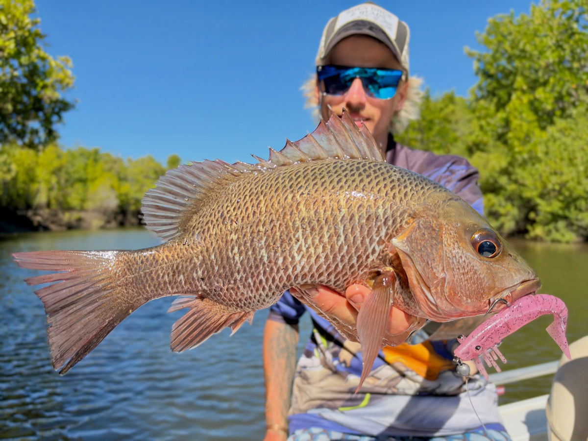 Angler holding a mangrove jack caught on a pink prawn soft plastic near Tully, Queensland