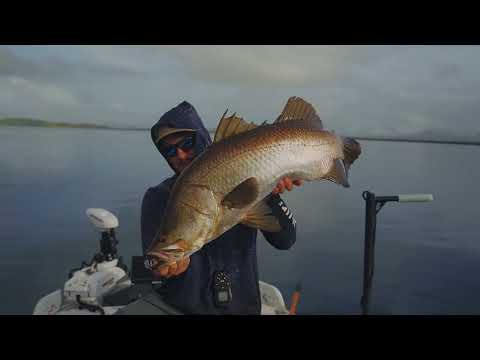 Daiwa 25 TD Sol MQ