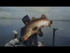 Daiwa 25 TD Sol MQ