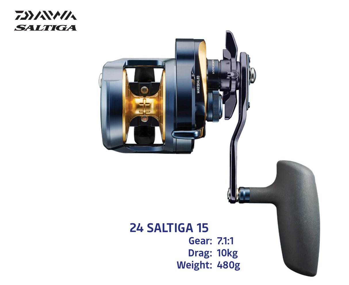 24 Saltiga 15