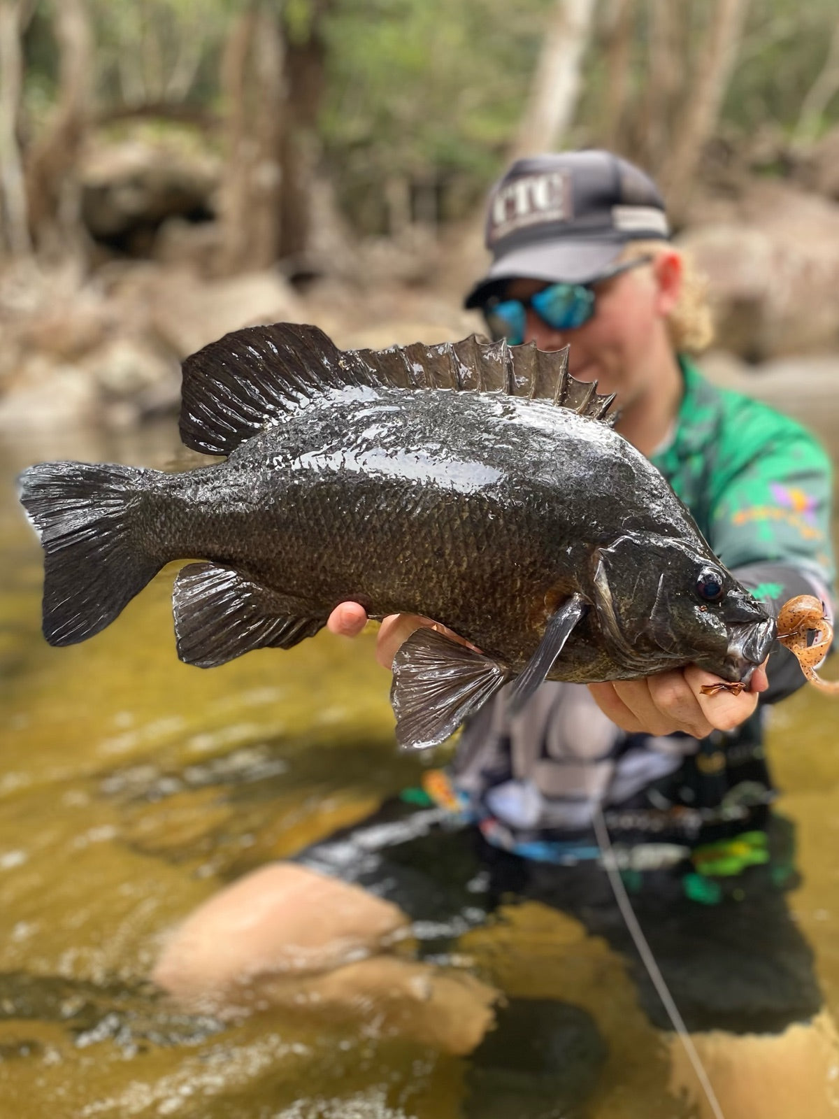 Sooty grunter caught on a Mintoss Skip Prawn in a clear creek near Cairns