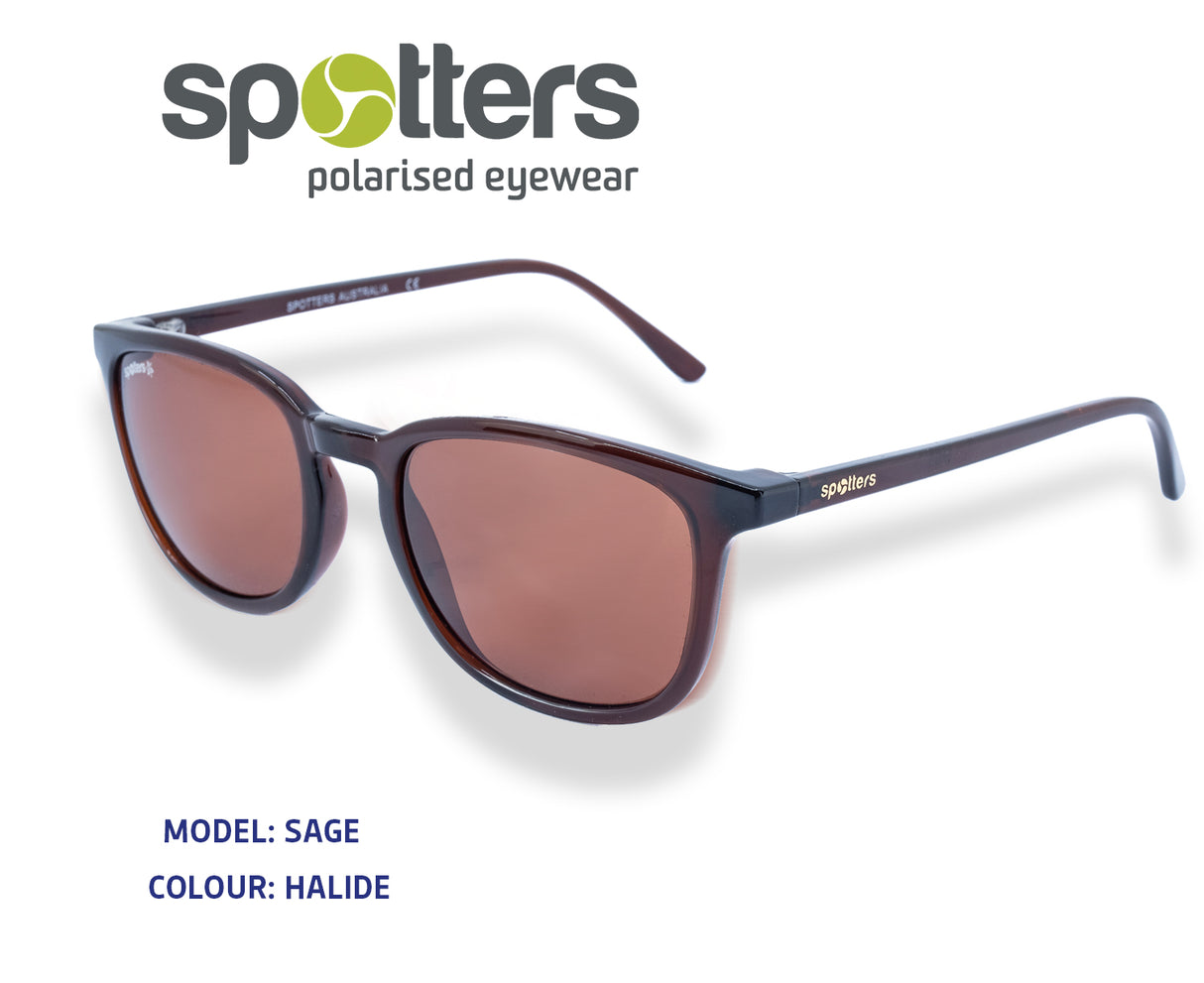 Spotters Sage Polarised Eyeware